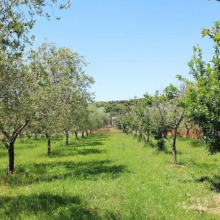 Villa Oliven Garden *