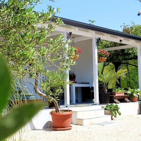 Villa Oliven Garden *