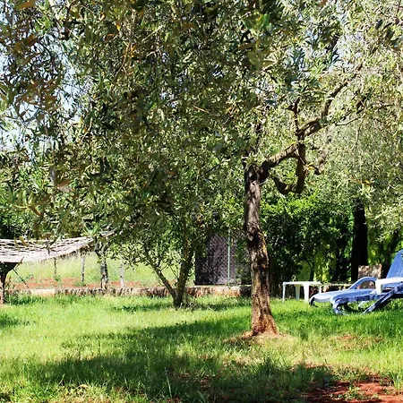 Oliven Garden *