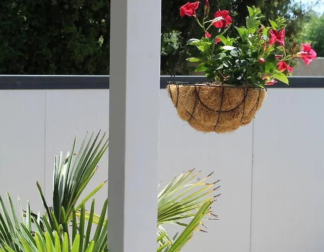 Oliven Garden Rovinj