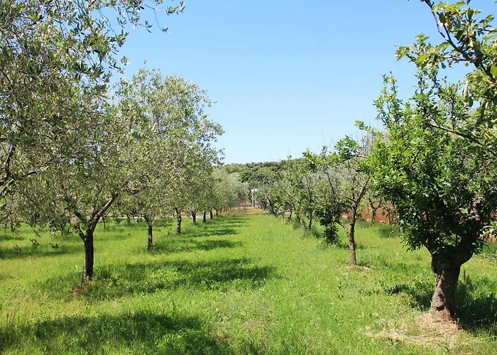 Villa Oliven Garden *