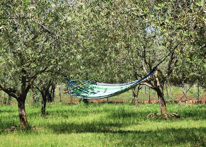 Villa Oliven Garden Rovinj