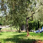 Oliven Garden *