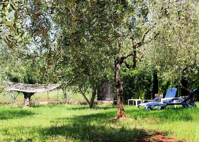 Oliven Garden *