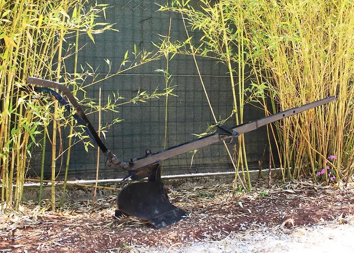 Oliven Garden וילה *
