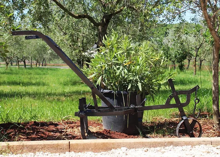 Oliven Garden 빌라 *