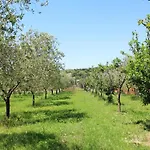 Villa Oliven Garden *