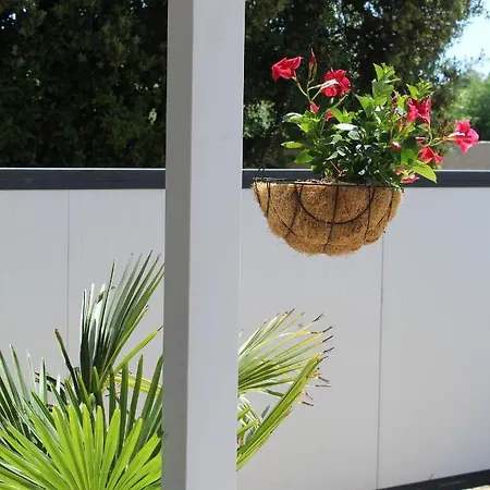 Oliven Garden Rovigno