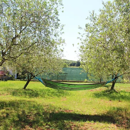 Oliven Garden *