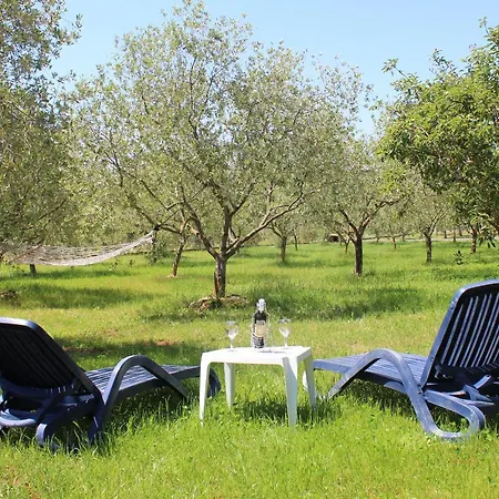 Oliven Garden Villa Rovigno