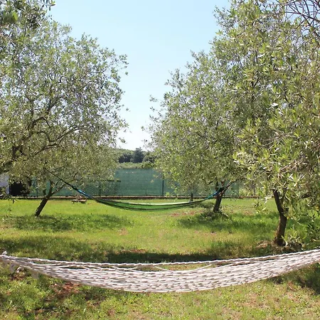 Oliven Garden