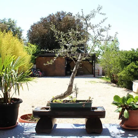Oliven Garden *