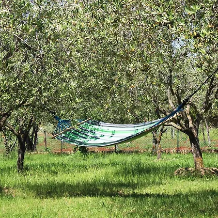 Villa Oliven Garden Rovigno